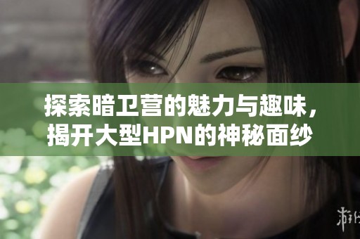 探索暗卫营的魅力与趣味，揭开大型HPN的神秘面纱