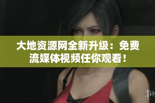 大地资源网全新升级：免费流媒体视频任你观看！