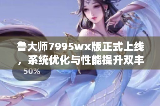鲁大师7995wx版正式上线，系统优化与性能提升双丰收