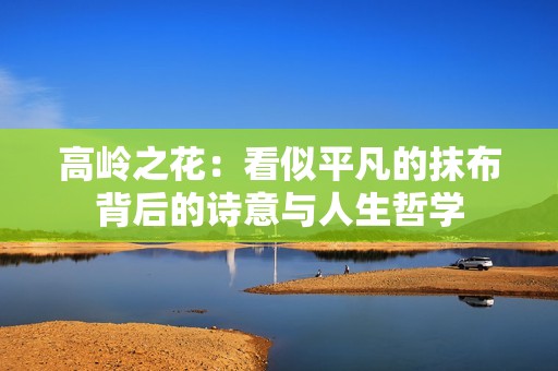 高岭之花：看似平凡的抹布背后的诗意与人生哲学