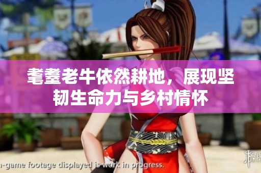 耄耋老牛依然耕地，展现坚韧生命力与乡村情怀