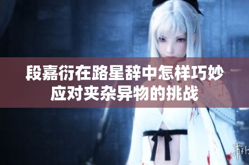 段嘉衍在路星辞中怎样巧妙应对夹杂异物的挑战