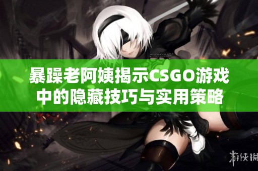 暴躁老阿姨揭示CSGO游戏中的隐藏技巧与实用策略