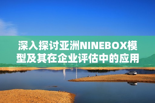 深入探讨亚洲NINEBOX模型及其在企业评估中的应用