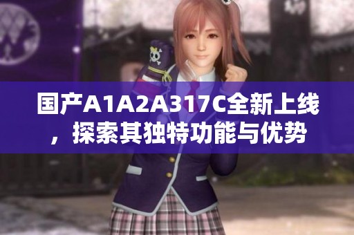 国产A1A2A317C全新上线，探索其独特功能与优势