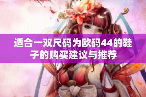 适合一双尺码为欧码44的鞋子的购买建议与推荐