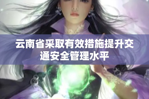 云南省采取有效措施提升交通安全管理水平