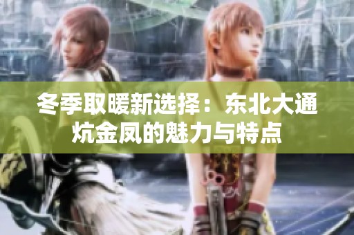 冬季取暖新选择：东北大通炕金凤的魅力与特点