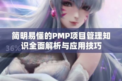 简明易懂的PMP项目管理知识全面解析与应用技巧