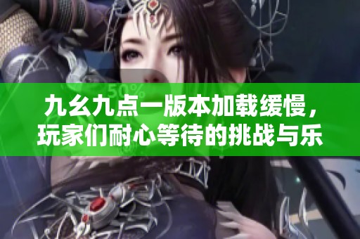九幺九点一版本加载缓慢，玩家们耐心等待的挑战与乐趣
