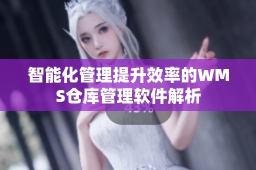 智能化管理提升效率的WMS仓库管理软件解析