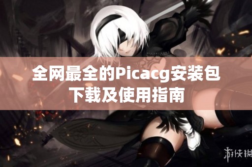 全网最全的Picacg安装包下载及使用指南