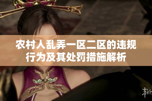 农村人乱弄一区二区的违规行为及其处罚措施解析