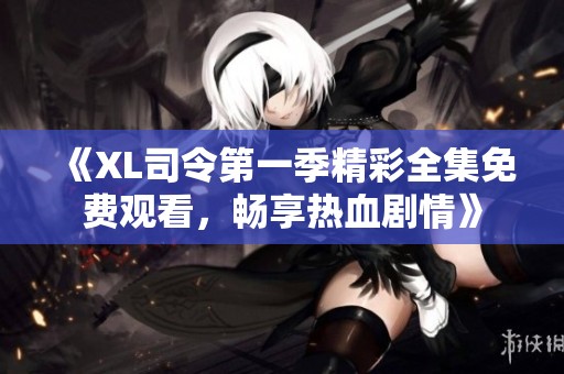 《XL司令第一季精彩全集免费观看，畅享热血剧情》