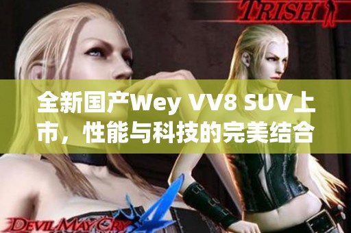 全新国产Wey VV8 SUV上市，性能与科技的完美结合
