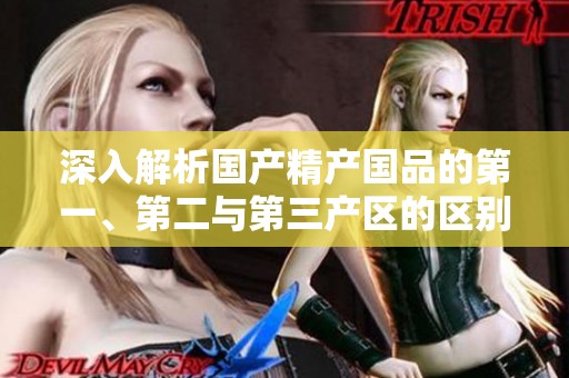 深入解析国产精产国品的第一、第二与第三产区的区别