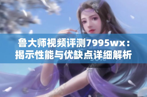 鲁大师视频评测7995wx：揭示性能与优缺点详细解析