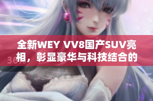 全新WEY VV8国产SUV亮相，彰显豪华与科技结合的魅力