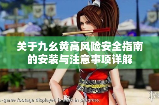关于九幺黄高风险安全指南的安装与注意事项详解