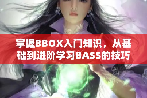 掌握BBOX入门知识，从基础到进阶学习BASS的技巧与应用