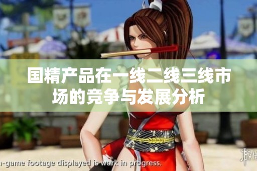 国精产品在一线二线三线市场的竞争与发展分析