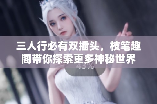 三人行必有双插头，枝笔趣阁带你探索更多神秘世界