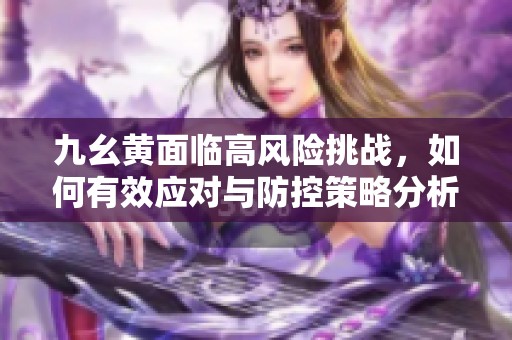 九幺黄面临高风险挑战，如何有效应对与防控策略分析