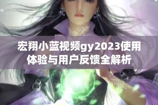 宏翔小蓝视频gy2023使用体验与用户反馈全解析