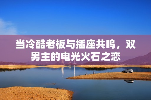 当冷酷老板与插座共鸣，双男主的电光火石之恋