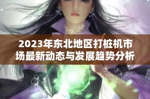 2023年东北地区打桩机市场最新动态与发展趋势分析