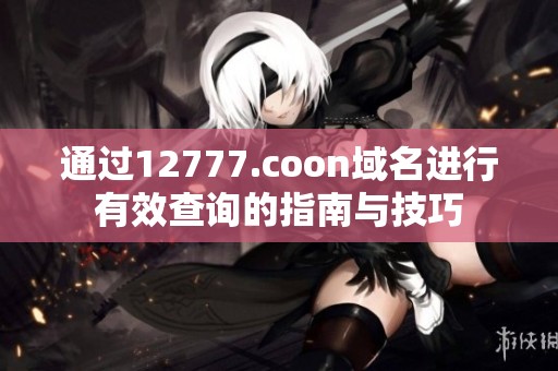 通过12777.coon域名进行有效查询的指南与技巧