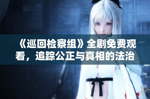 《巡回检察组》全剧免费观看，追踪公正与真相的法治之路