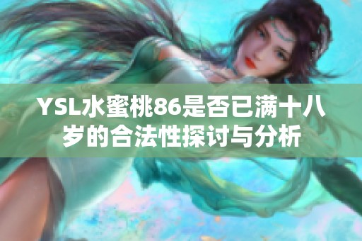 YSL水蜜桃86是否已满十八岁的合法性探讨与分析