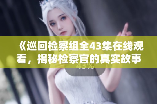 《巡回检察组全43集在线观看，揭秘检察官的真实故事》