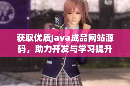 获取优质Java成品网站源码，助力开发与学习提升