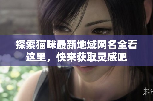 探索猫咪最新地域网名全看这里，快来获取灵感吧