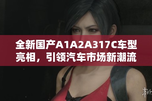 全新国产A1A2A317C车型亮相，引领汽车市场新潮流