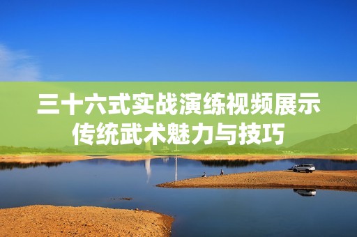 三十六式实战演练视频展示传统武术魅力与技巧