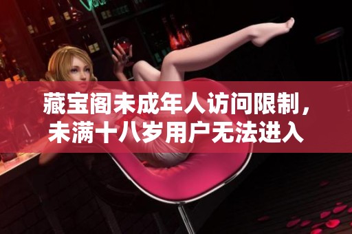 藏宝阁未成年人访问限制，未满十八岁用户无法进入