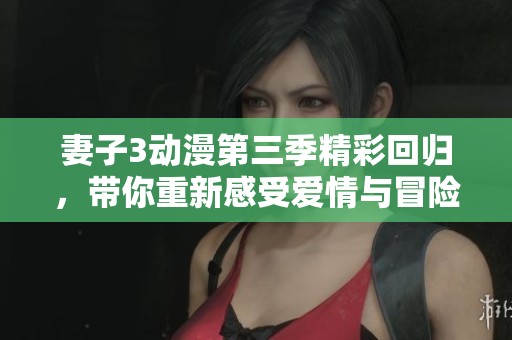 妻子3动漫第三季精彩回归，带你重新感受爱情与冒险的故事