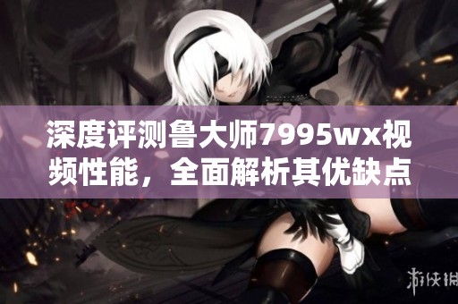 深度评测鲁大师7995wx视频性能，全面解析其优缺点