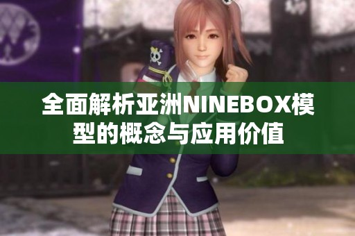 全面解析亚洲NINEBOX模型的概念与应用价值