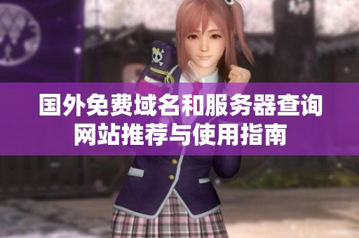 国外免费域名和服务器查询网站推荐与使用指南