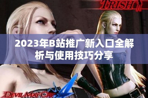 2023年B站推广新入口全解析与使用技巧分享