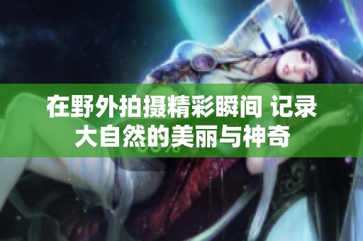 在野外拍摄精彩瞬间 记录大自然的美丽与神奇