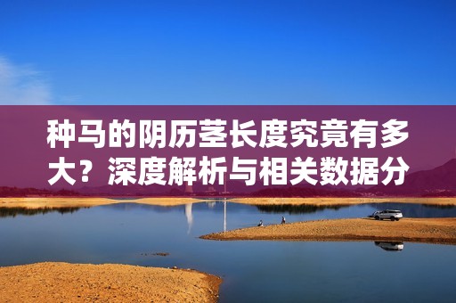 种马的阴历茎长度究竟有多大？深度解析与相关数据分析