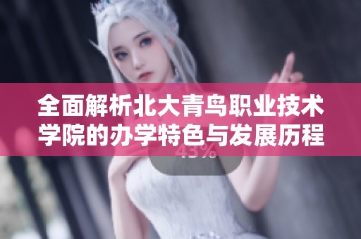 全面解析北大青鸟职业技术学院的办学特色与发展历程