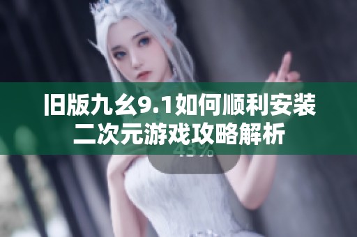 旧版九幺9.1如何顺利安装二次元游戏攻略解析