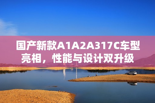 国产新款A1A2A317C车型亮相，性能与设计双升级