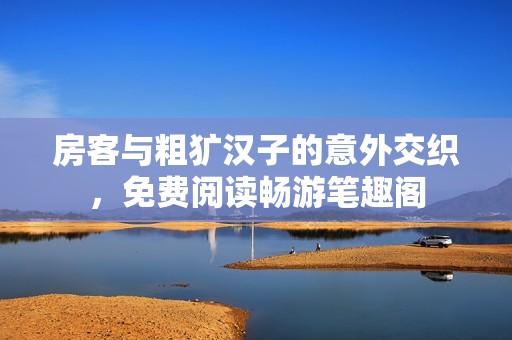 房客与粗犷汉子的意外交织，免费阅读畅游笔趣阁